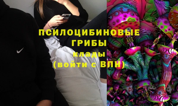 альфа пвп Армянск