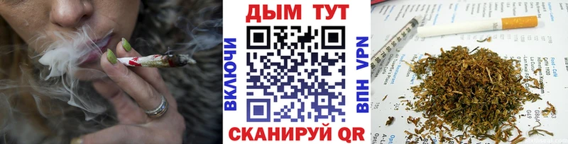 что такое наркотик  Краснотурьинск  Марихуана сатива 